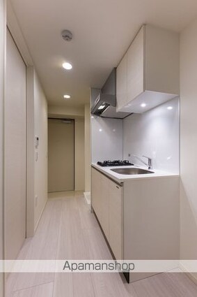 Ｈｅａｌｉｎｇ　Ｇａｔｅ　押上[1K/25.5m2]のキッチン