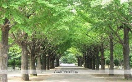 フレクション光が丘[1K/23.1m2]の周辺8