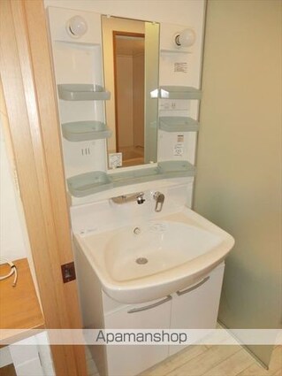 メゾン十番丁[1R/46.38m2]の洗面所