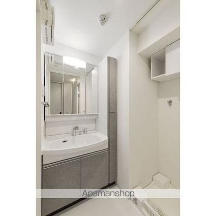 ＴＨＥ　ＧＤ　Ｏｎｅ[1R/42.18m2]の洗面所