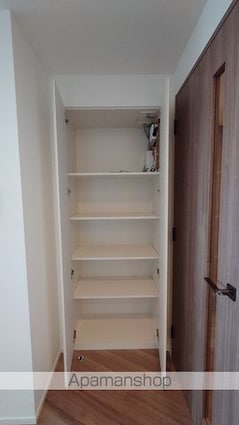 パークタワー勝どき　サウス棟[1LDK/51.07m2]の収納