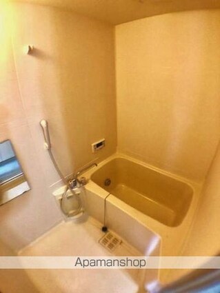 Ｂｒａｎｃｈｅ　ＤＥ　ＦＲＡＮＣＯＩＳ[2DK/49.92m2]のバス