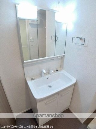 フェリーチェ上林[2LDK/50.53m2]の洗面所