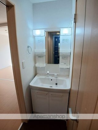 グレイスフル松山[2DK/45.39m2]の洗面所