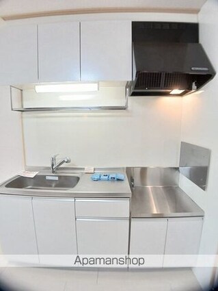 スカイハイツ五月[2LDK/58.53m2]のキッチン