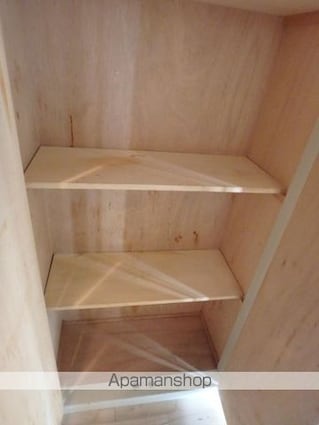 ダイホープラザ桜台[1R/21.08m2]の収納2