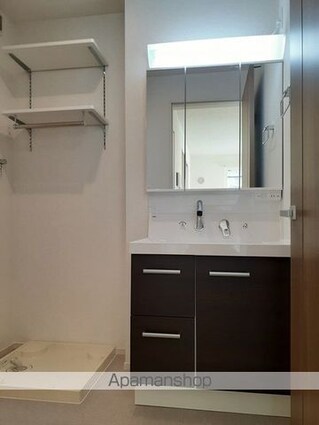 ラバン・ドールプラス[1LDK/50.42m2]の洗面所