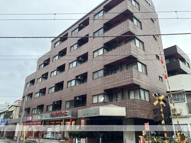 ノアールのその他写真