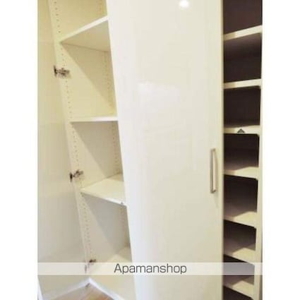 パークアクシス押上テラス[1LDK/31.83m2]の収納