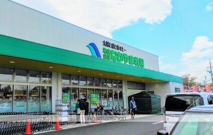 ロイヤルガーデンミルフィー　Ｂ棟[2LDK/55.45m2]の周辺4