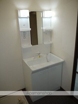 Ｌｉｍｐｉａアメニティーヒルズこいわい[1LDK/43.74m2]の洗面所