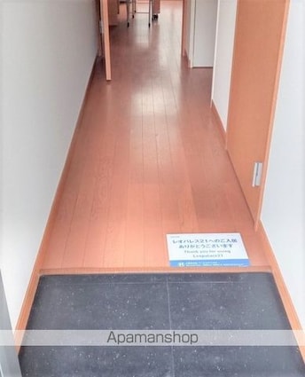 千葉県柏市松ケ崎[1K/20.28m2]の玄関