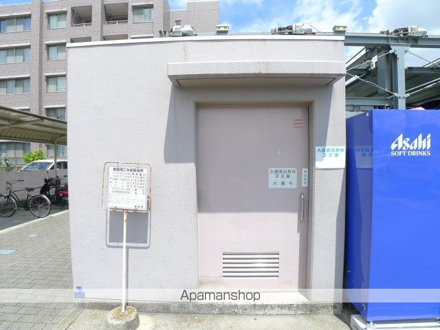 アミリスのその他写真