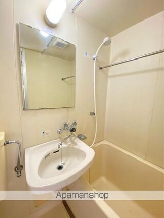 アルファ宮脇町[1K/17.1m2]の洗面所