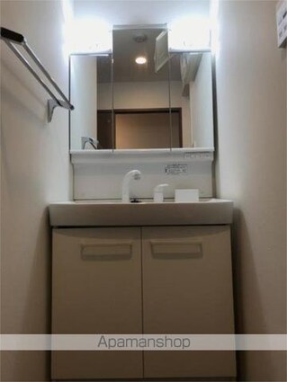 チェスナット　西大島[1SLDK/52.51m2]の洗面所