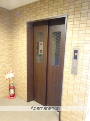 シロスハヤシのその他写真
