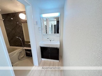 シルキーⅡ[1K/33.85m2]の洗面所