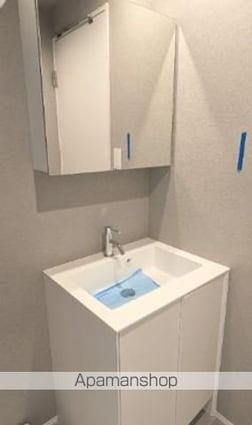 レジディア自由が丘[2LDK/54.8m2]の洗面所