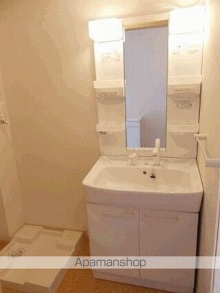 東京都西多摩郡日の出町大字平井[1R/32.9m2]の洗面所