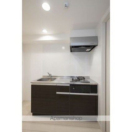 ｌａｐｉｓｌａｚｕｌｉ（ラピスラズリ）[1K/21.78m2]のキッチン