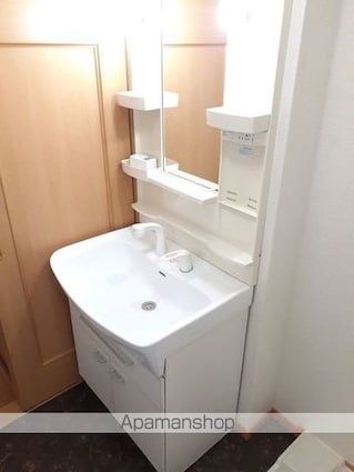 インターフェイス[2LDK/58.86m2]の洗面所