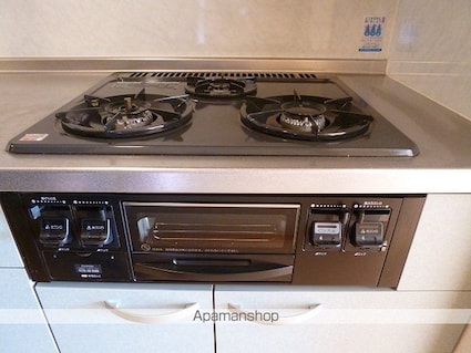 エルミナコート草津[1K/29.6m2]の内装2