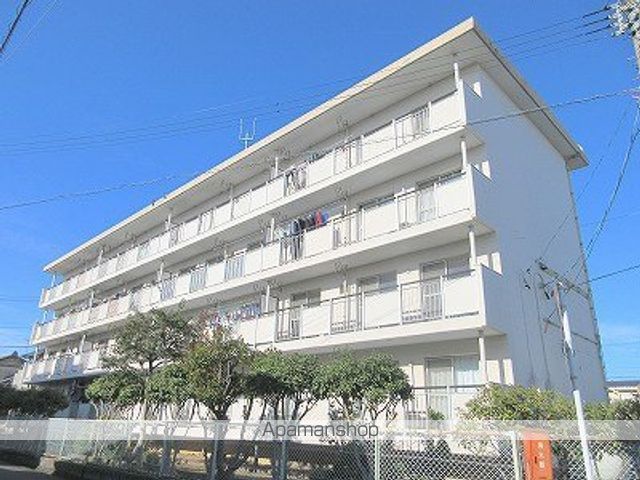 セントポーリア蜆塚