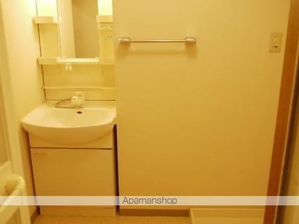 セルフォース[2LDK/58.75m2]の洗面所