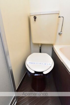 ラ・レジダンス・ド・エスパリエ[1R/16.5m2]のトイレ