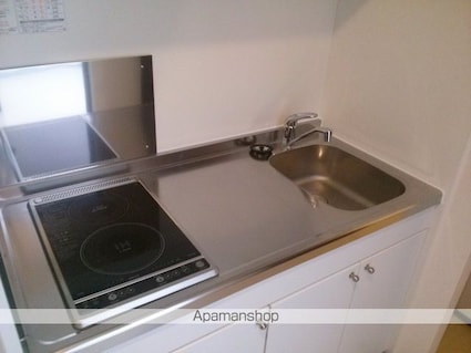 レオネクスト中之郷[1K/25.39m2]のキッチン