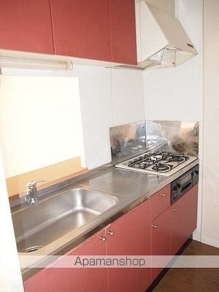 レオパレスグランドゥール[2DK/49.68m2]のキッチン