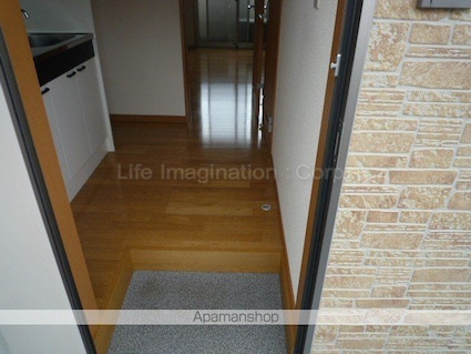 カーペンターハウスⅥ[1K/26.91m2]の玄関