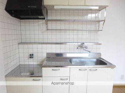 エクセランス[1K/33.06m2]のキッチン