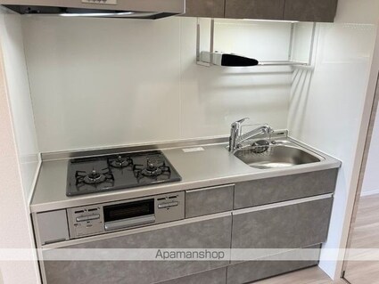 グランドメゾン城ケ丘[1K/30.03m2]のキッチン