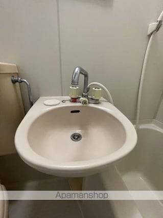 サンクシャンブル[1R/15.3m2]の洗面所