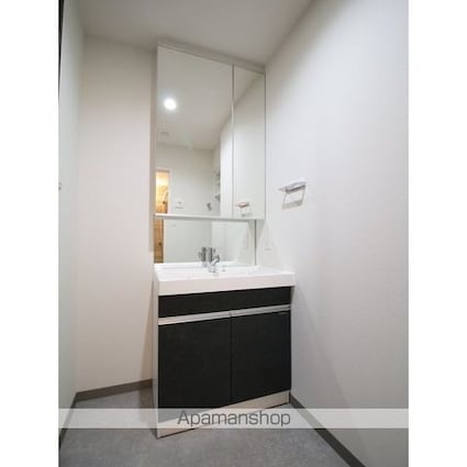 プレール・ドゥーク亀戸Ⅵ[1LDK/43.65m2]の洗面所