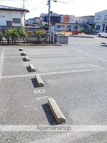 かみふうせんのその他写真