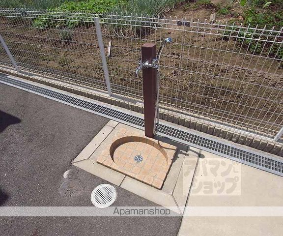 グレイス・シェーネのその他写真