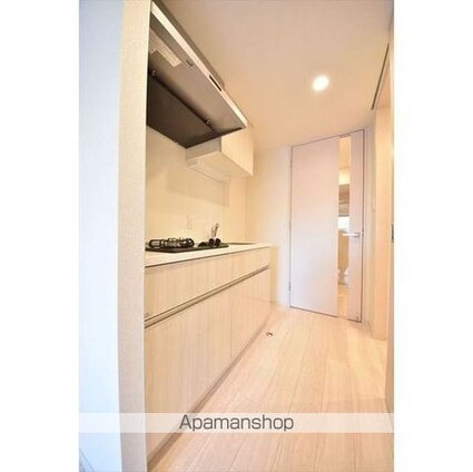 グランパセオ清澄白河Ⅱ[1DK/25.44m2]の内装