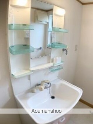 シェソワポプリ[2DK/49.06m2]の洗面所