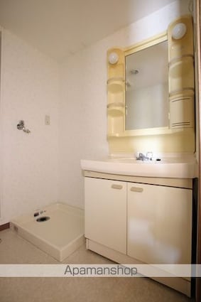 ラネックス川越[3LDK/65.02m2]の洗面所