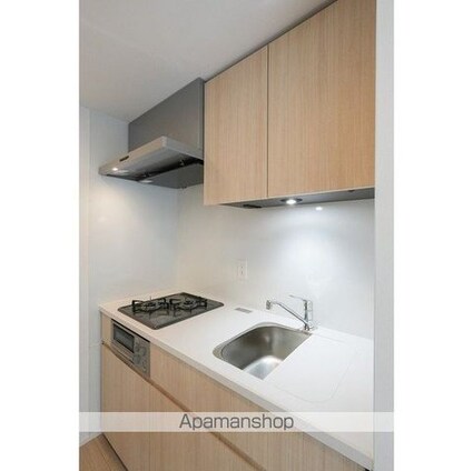 グランカーサ蒲田ウエスト[1LDK/39.4m2]のキッチン