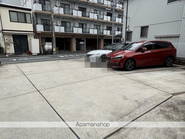アンスリウムのその他写真