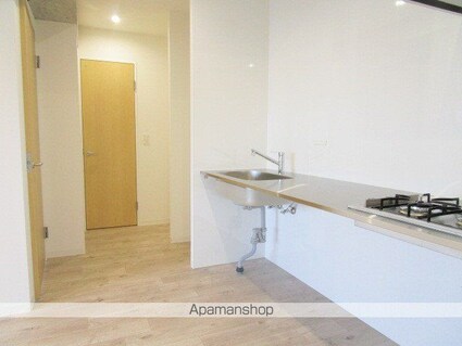 東京都杉並区高円寺南２丁目[1LDK/43.37m2]の内装4