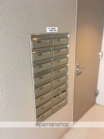 アルファリラのその他写真