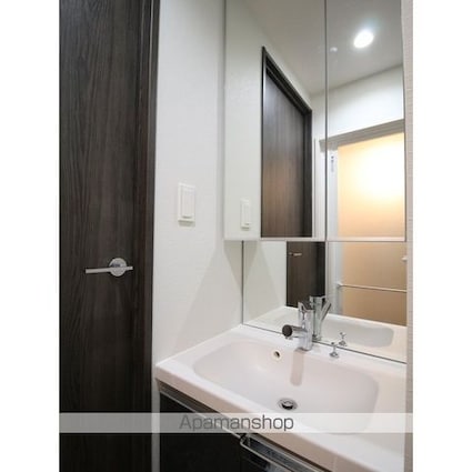 プレール・ドゥーク亀戸Ⅵ[1LDK/33.44m2]の洗面所