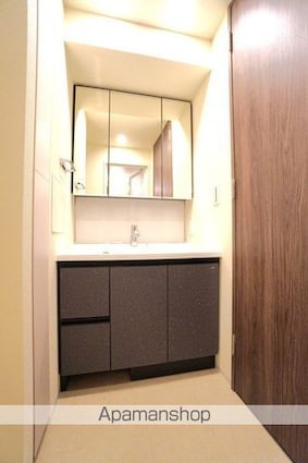 プレディアコート錦糸町スカイビュー[2LDK/40.73m2]の洗面所