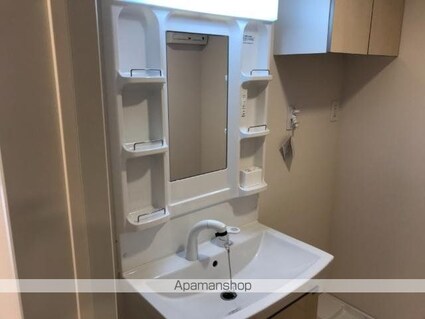 ルミエール・エス[1LDK/44.95m2]の洗面所