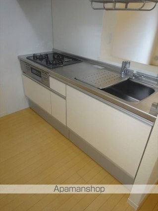 シャーメゾン金龍寺丁[2LDK/53.09m2]のキッチン
