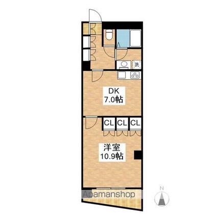 セイント橘[1DK/45.22m2]の間取図